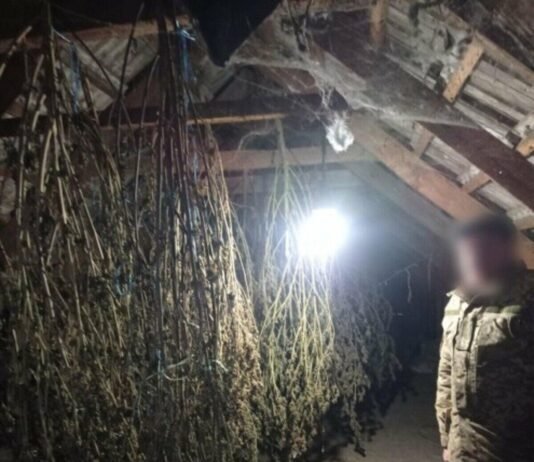 Более 3 кг каннабиса и PVP: в Одесской области разоблачили трех мужчин с наркотиками