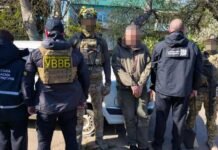 «Дань» ежемесячно и план на 100 тысяч: в Одесской области будут судить руководителя лесхоза