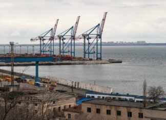 Украина просила 220 млн евро для фермеров: ответившие в Еврокомиссии