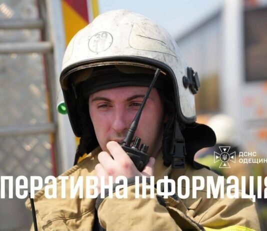 Одесская область в огне: за сутки произошло 80 пожаров, выгорело 28 гектаров