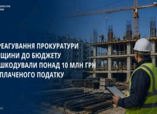 Миллионы прошли мимо налоговой: в Одесской области директор строительной компании возместил более 10 млн грн