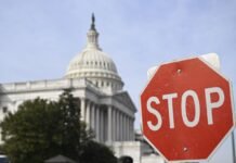 Достаточно ли просто притормозить перед знаком STOP: что требуют ПДД