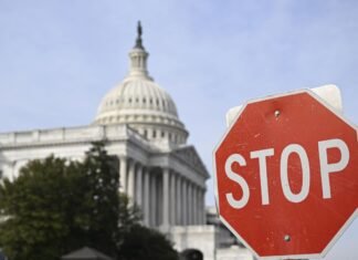 Достаточно ли просто притормозить перед знаком STOP: что требуют ПДД