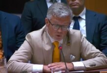 Мельник раскритиковал Совбез ООН: «до сих пор не остановили российский геноцид украинцев»