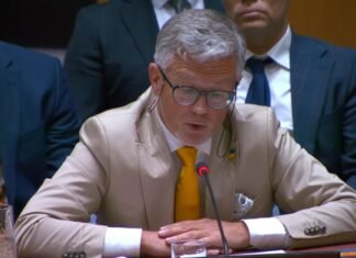 Мельник раскритиковал Совбез ООН: «до сих пор не остановили российский геноцид украинцев»