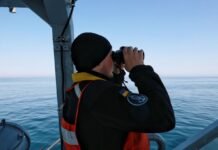 Украинские дроны потопили теплоход Yanina «Росатома» в Черном море