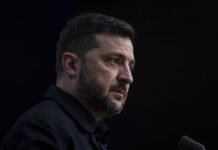 «Россия сошла с ума»: Зеленский отреагировал на циничное «сафари» в Херсоне
