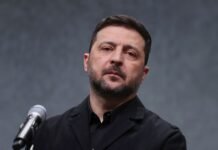 Зеленский совершит первый официальный визит в Сербию, известна дата