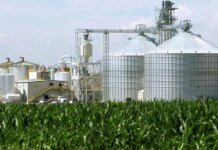 США готовят новые послабления для нефтепереработчиков на фоне роста цен на бензин