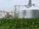 США готовят новые послабления для нефтепереработчиков на фоне роста цен на бензин