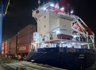 Крупная турецкая судоходная компания полностью прекратила рейсы в Россию из-за угроз безопасности