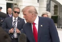 Трамп поблагодарил Путина за соглашение о поставках дизельного топлива и проигнорировал критику Зеленского