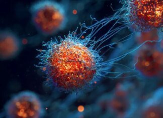 Учёные обнаружили изменения в иммунных клетках, которые могут предсказать развитие диабета и других заболеваний за годы до появления симптомов