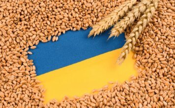 Украина станет аграрной частью ЕС на особых условиях: в Брюсселе рассказали о будущем экспорта зерна