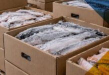 Оккупанты блокируют легальную продажу рыбы в Запорожской области — ЦНС