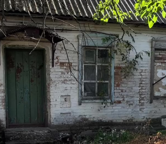 7 комнат и конюшня: украинка купила дом в селе, где раньше была немецкая колония (фото)