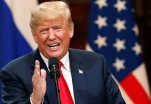 «Животные жарятся на них»: Трамп опозорился из-за заявления о солнечных панелях
