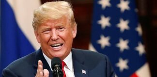 «Животные жарятся на них»: Трамп опозорился из-за заявления о солнечных панелях