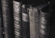 Страх и покой: как готическая литература «покинула» замки и стала мировым трендом (видео)