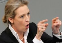 The Telegraph: Вайдель грозит ЕС референдумом о Dexit и называет поддержку Украины чушью