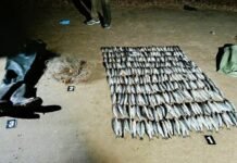 В Одесской области в заповеднике незаконно ловили рыбу: убытки оценили почти в 6 миллионов