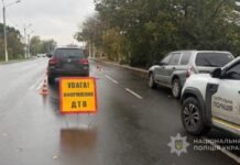 Смертельное ДТП в Одесской области: 21-летний водитель сбил 76-летнюю женщину