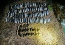 В Одесской области браконьер наловил рыбы более чем на 3 миллиона гривен: подробности