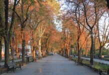 В Одессе подростку стало плохо на спортивной площадке: он умер
