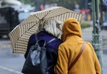 Дожди, грозы и заморозки: какой будет погода в Украине 14 октября