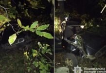 Смертельное ДТП в Одесской области: 20-летний водитель без прав врезался в дерево, погиб 16-летний парень