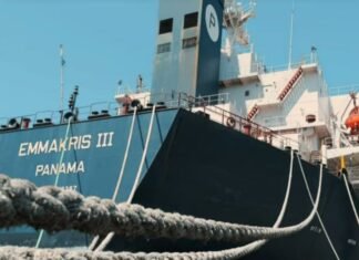 Российский сухогруз длиной 225 метров выставят на продажу в Одесской области