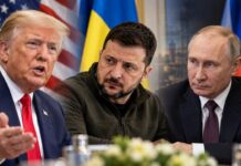 Встреча Зеленского и Путина готовят в ближайшее время.