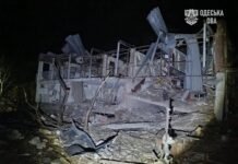 Взрывы и пожары на юге Одесщины: Россия атаковала объект ДТЭК и рекреационную зону