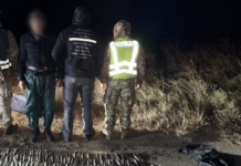 Более полутысячи сингилов в сетках: в Одесской области разоблачили предполагаемого браконьера