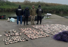 В Одесской области браконьер наловил рыбы более чем на 1,39 млн грн: что нашли в его сетках