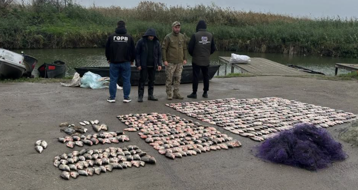 В Одесской области браконьер наловил рыбы более чем на 1,39 млн грн: что нашли в его сетках