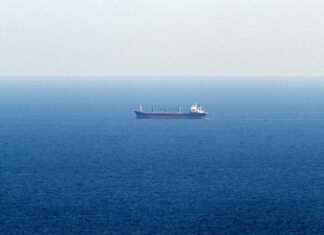 Болгария присоединится к инициативе НАТО по противодействию дронам после атак на суда в Черном море