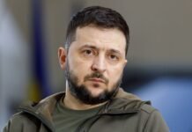 Зеленский предположил, почему Путин захотел возобновить переговоры с Украиной